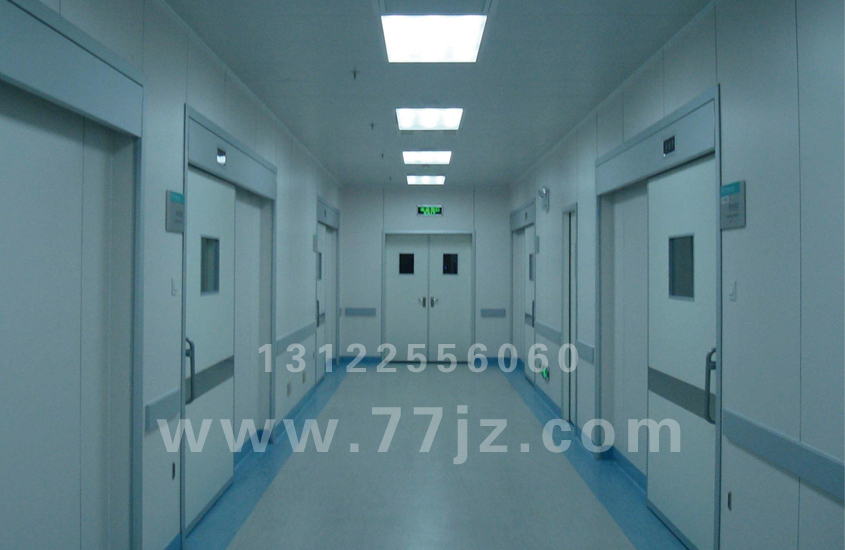 鋼制雙開(kāi)凈化門(mén)